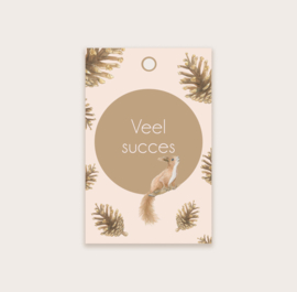 minikaartje "Veel succes"