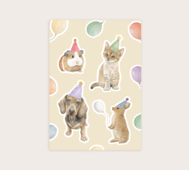 A7 huisdierenfeestje