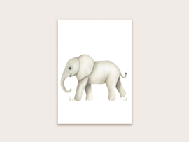 Ansichtkaart olifant