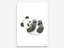A4 panda