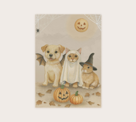 A7 Halloween
