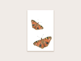 minikaartje/label vlinders