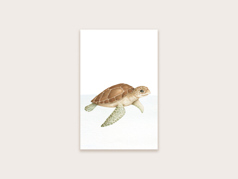 minikaartje/label schildpad