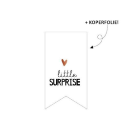 Sticker - Little surprise