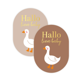 Hallo lieve baby - sticker