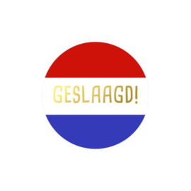 Geslaagd - sticker