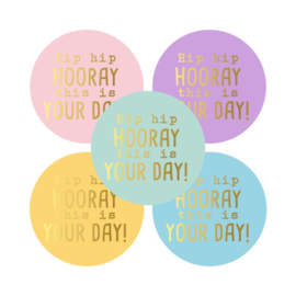 Hip hip hooray this is your day - stickers