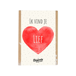 Ik vind je lief - bloembommetjes