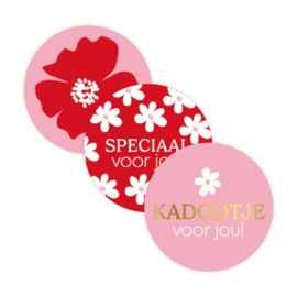 Sticker kadootje – bloemdesign in rood/roze