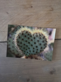 Hartje cactus - kaart