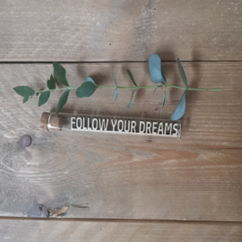 Follow your dreams - buisje met tekst