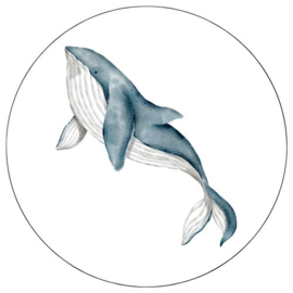 Walvis - sticker