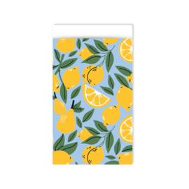 Kadozakjes Medium - 12 x 19 cm