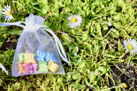 Mini haarklemmetjes | Bloemetjes, vlindertjes of Ananasjes