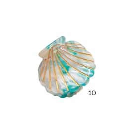Haarklem Schelp