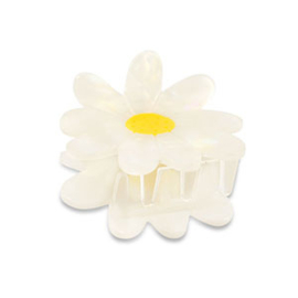 Haarklem Parelmoer Daisy