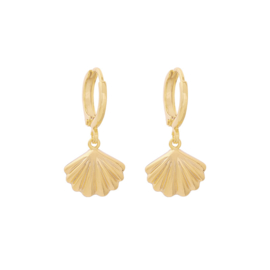 Shell | Oorbellen | Gold