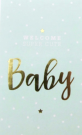 Welkom Baby Blue | Stickers | 10 stuks