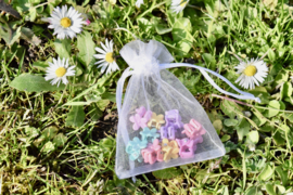 Mini haarklemmetjes | Bloemetjes, vlindertjes of Ananasjes