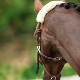 Lunging Halter with wool and rawhide