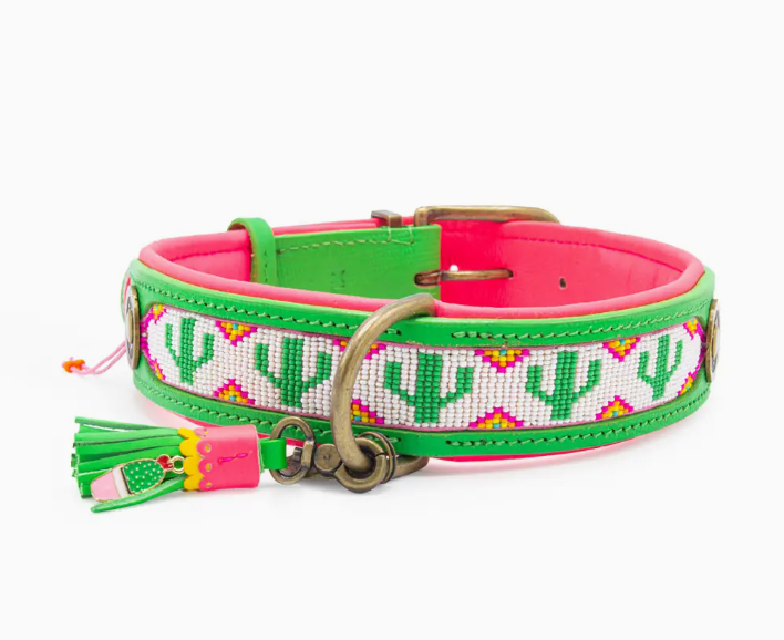 DWAM Tropical Summer Dog Collar size XS