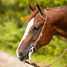 Headstalls & Accessoires