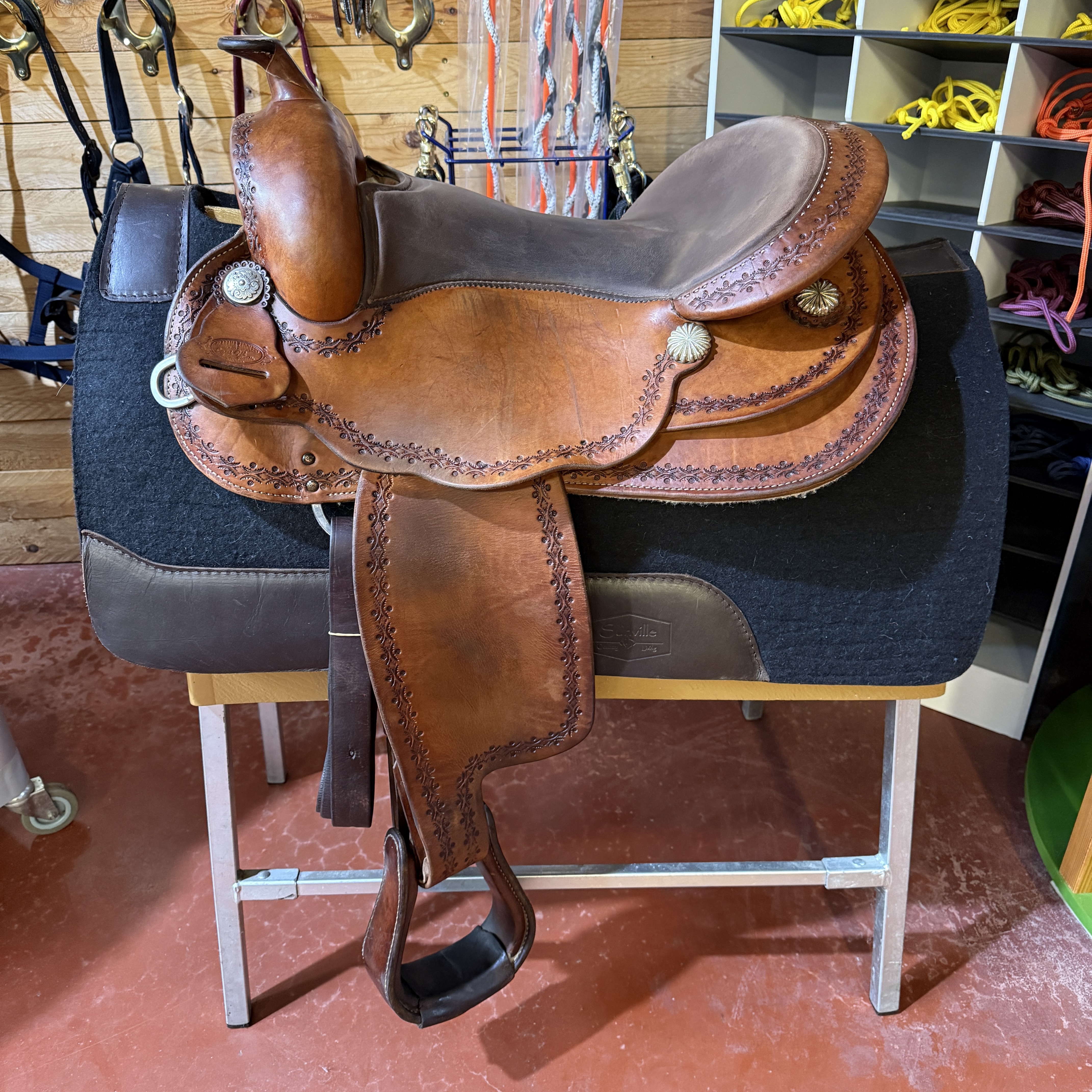 Alabama Equifit