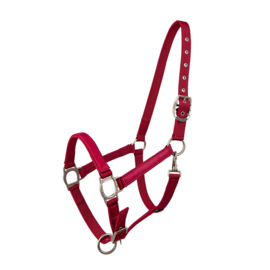 Lami-cell Halter Raspberry size COB