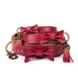 DWAM Bonnie Dog Collar