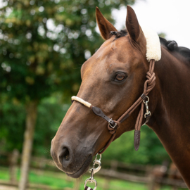 Lunging Halter with wool and rawhide