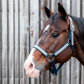 Lami-cell Halter Idaho with lead rope, size COB