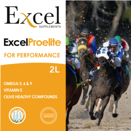 Excel ProElite