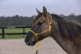 Two Lazy Seven Touwhalster met gepatenteerde sluiting