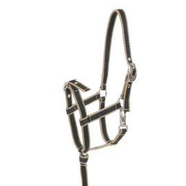 Foal Halter Lami-cell, color Black/Beige