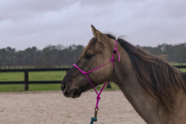 Two Lazy Seven Rope Halter with patented closure