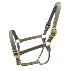 Halter Leather, Dark Brown size Cob