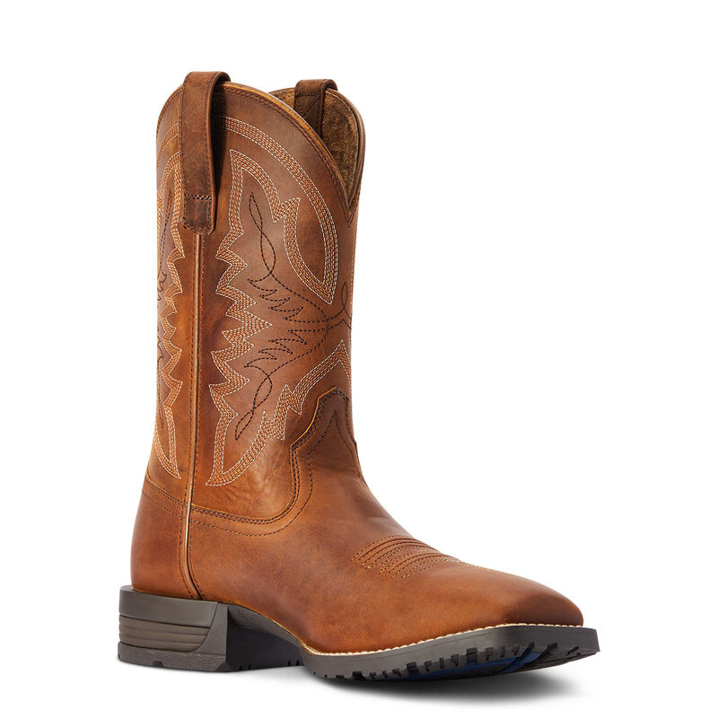 Ariat laarzen online heren