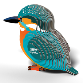 Eugy 3D - IJsvogel (Kingfisher)