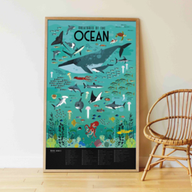 Poppik - Maak Je Eigen Stickerposter: Oceanen