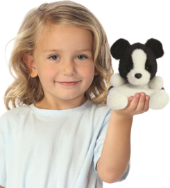 Palm Pals  - Border Collie Brody