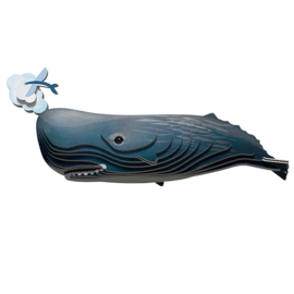 Eugy 3D - Potvis (Sperm Whale)