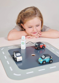 Tender Leaf Toys - Elektrische auo's 4-delig