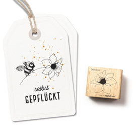 Cats on Appletrees - Stempel Bloesem Narcis (26)