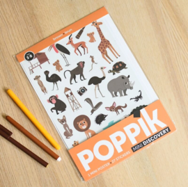 Poppik - Mini Stickerposter: Bruin de Savanne