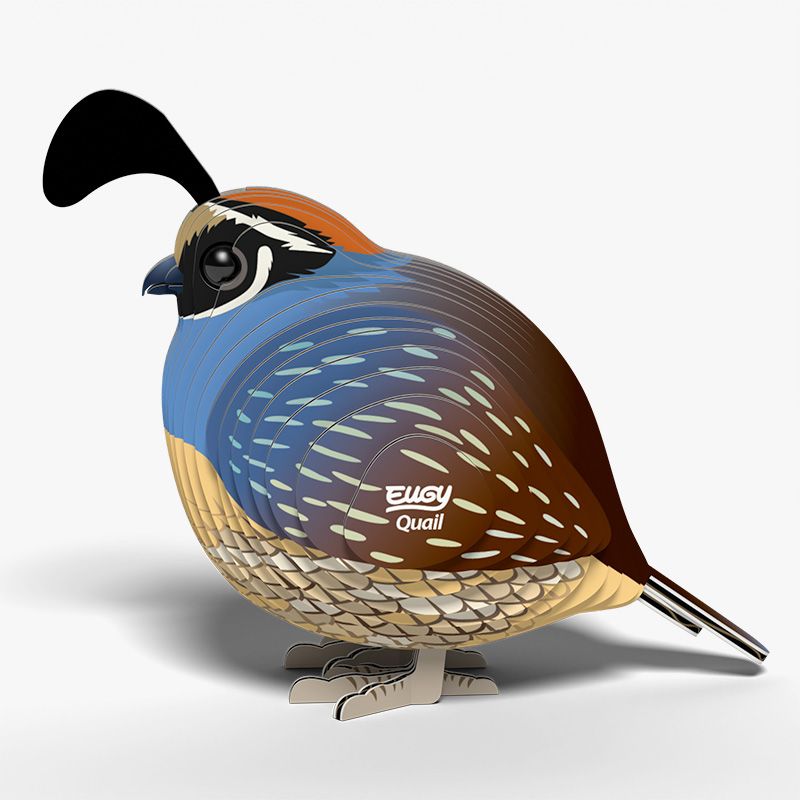 Eugy 3D - Californische Kuifkwartel (Quail #129)