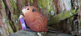 Eugy 3D - Bever (Beaver)
