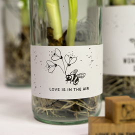 Cats on Appletrees - Stempel Tekst Love Is In The Air