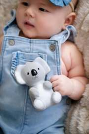 Tikiri - Mijn Eerste Australisch Diertje Koala