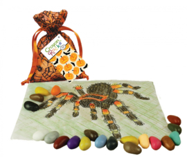 Crayon Rocks - Herfst editie 20 kleuren