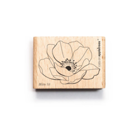 Cats on Appletrees - Stempel Bloessem Herfstanamoon (53)